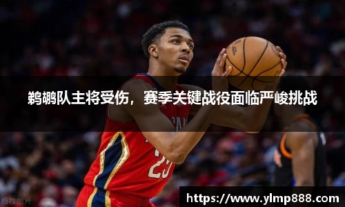 鹈鹕队主将受伤，赛季关键战役面临严峻挑战